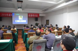 cai2